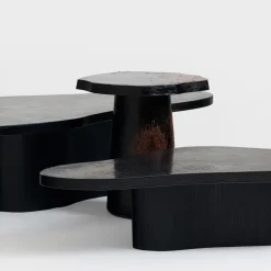 Tavolino da caffè Tessella F in legno nero