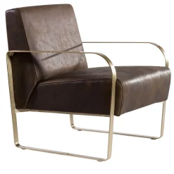 The Leather Armchair