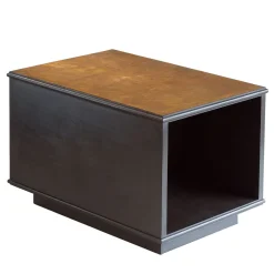 The Modernist Coffe Table