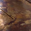 The Timeless Coffee Table