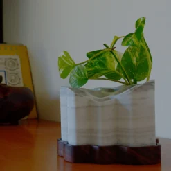 Vaso a più bocche Succulenta di Marco Fontana
