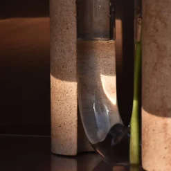 Vaso bianco Cochlea dello Sviluppo