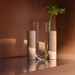 Vaso bianco Cochlea dello Sviluppo