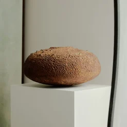 Vaso Cedrus Libani #3