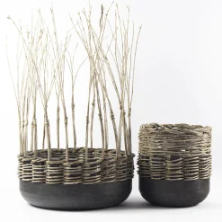 Vaso Corbello #2
