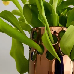 Vaso da fiori Venere 25