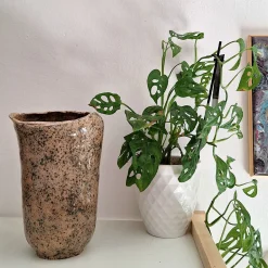 Vaso Decorativo Baobab in Ceramica Grigia e Bronzo