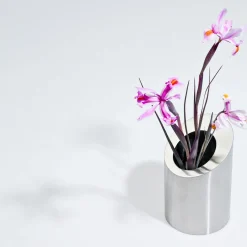 Vaso Decorativo Circolo in Acciaio Inox Lucido di Robert Evans