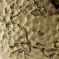 Vaso Decorativo in Legno Bombato con Effetto Smerigliato