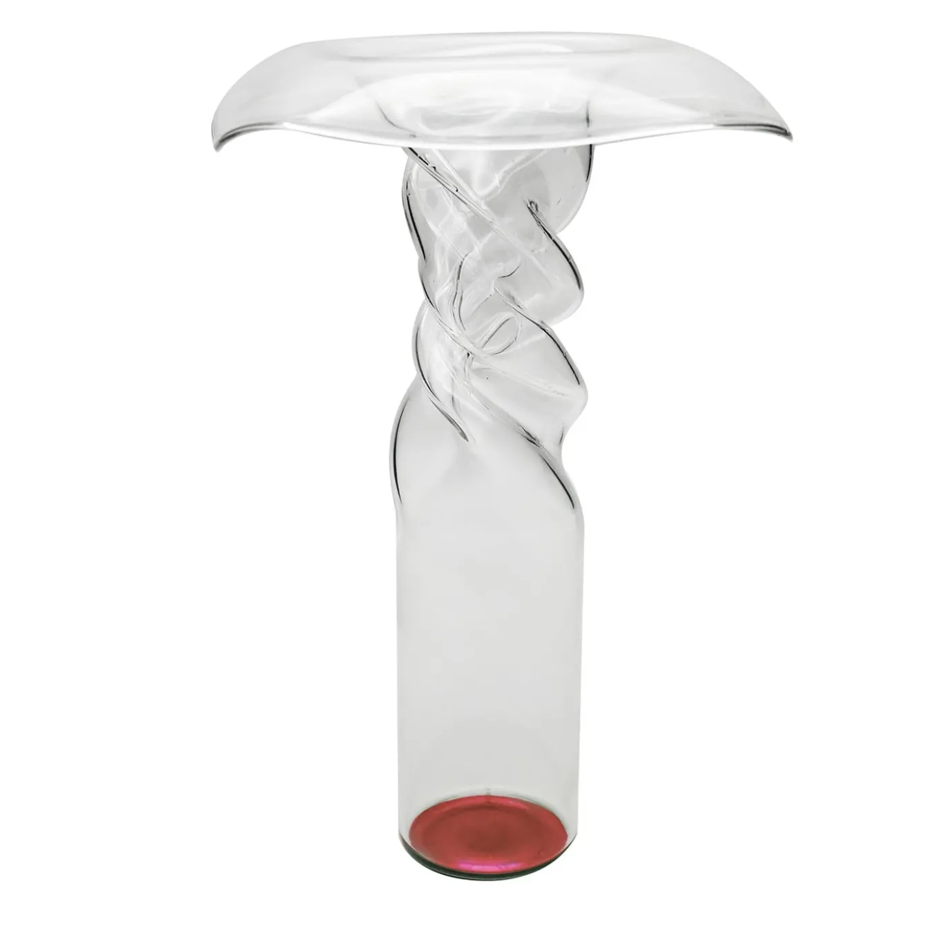 Vaso di papaveri viola