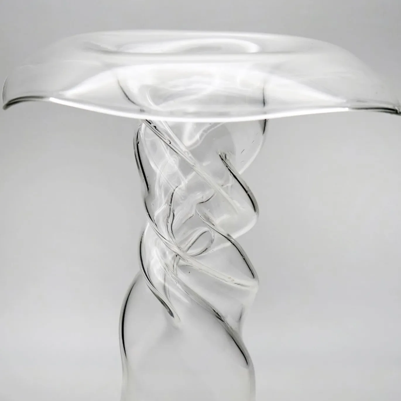 Vaso di papaveri viola