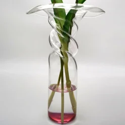 Vaso di papaveri viola