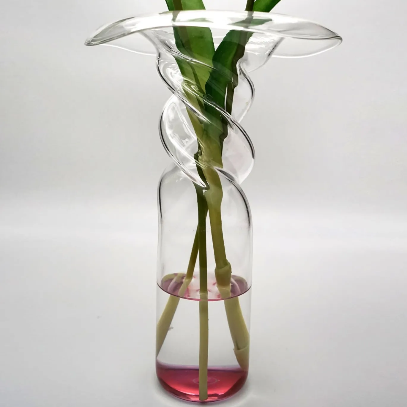 Vaso di papaveri viola