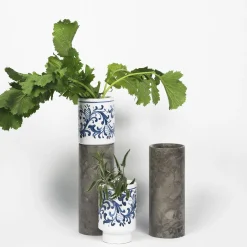 Vaso Innesto