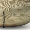 Vaso Mussidae #17