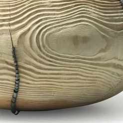 Vaso Mussidae #17