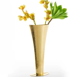 Vaso Naco