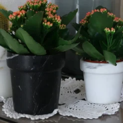 Vaso per mini cactus in marmo bianco di Calcutta