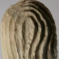 Vaso scultoreo Hollow Form in legno di faggio Fagus Sylvatica