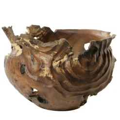 Vaso scultoreo in legno di corniolo Cornus Mas
