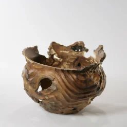 Vaso scultoreo in legno di corniolo Cornus Mas