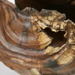 Vaso scultoreo in legno di corniolo Cornus Mas