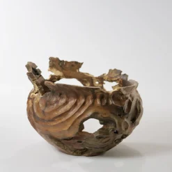 Vaso scultoreo in legno di corniolo Cornus Mas