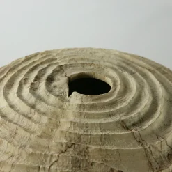 Vaso scultoreo in legno di faggio Fagus Sylvatica con scanalature concentriche
