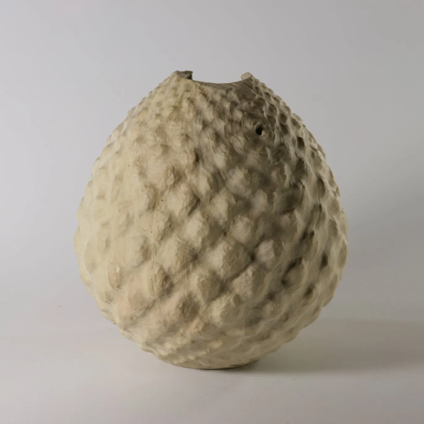 Vaso scultoreo in legno di Sambuco Sambucus Nigra