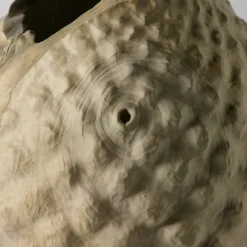Vaso scultoreo in legno di Sambuco Sambucus Nigra