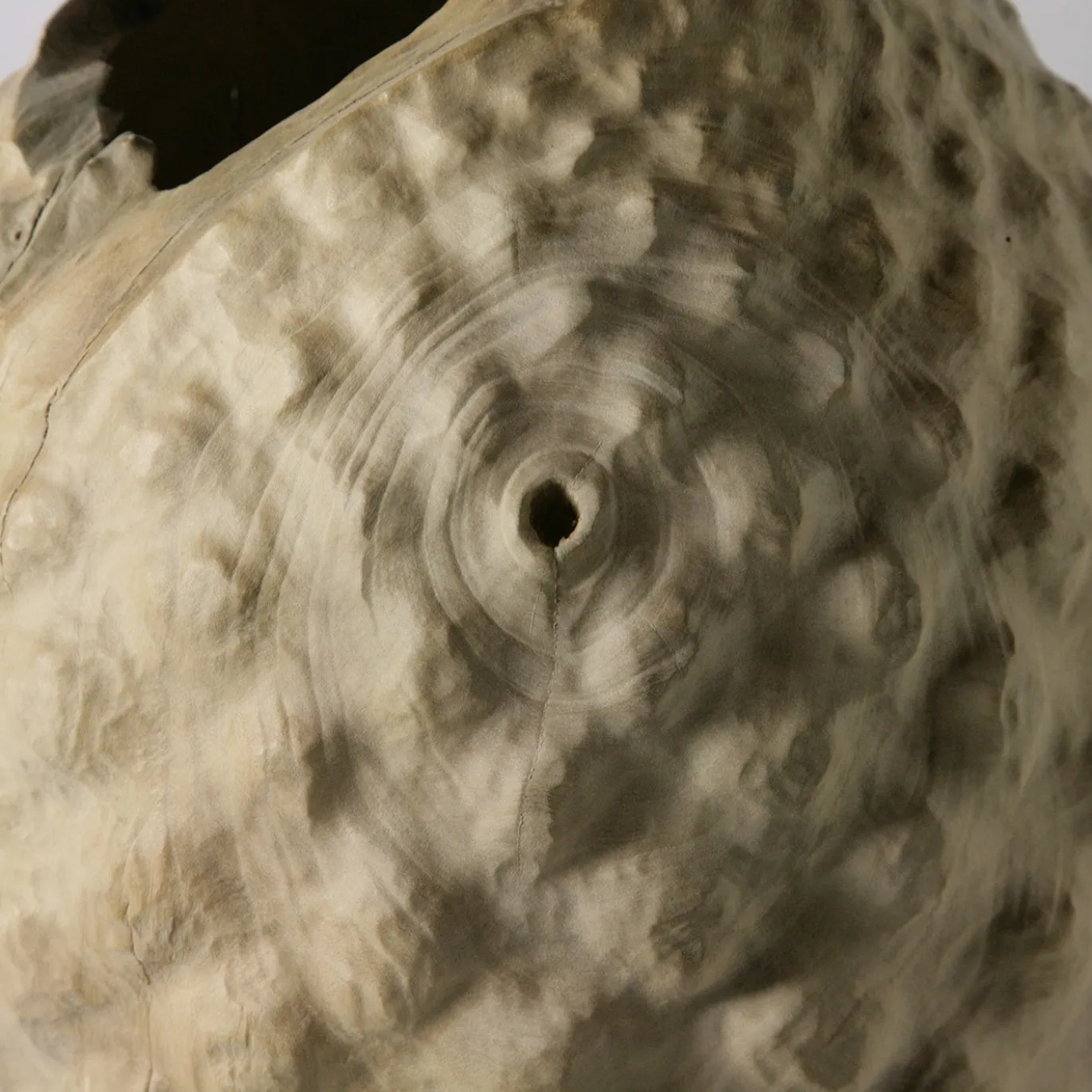 Vaso scultoreo in legno di Sambuco Sambucus Nigra