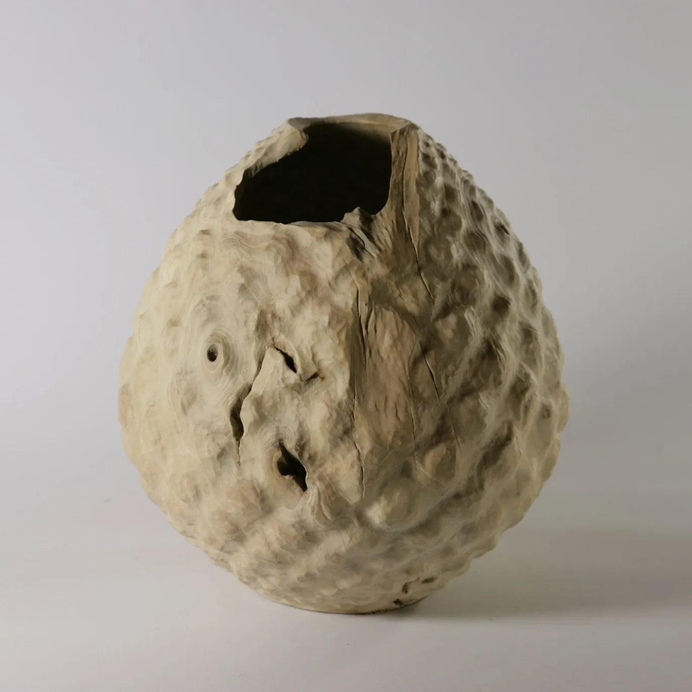 Vaso scultoreo in legno di Sambuco Sambucus Nigra