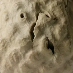 Vaso scultoreo in legno di Sambuco Sambucus Nigra