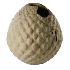 Vaso scultoreo in legno di Sambuco Sambucus Nigra