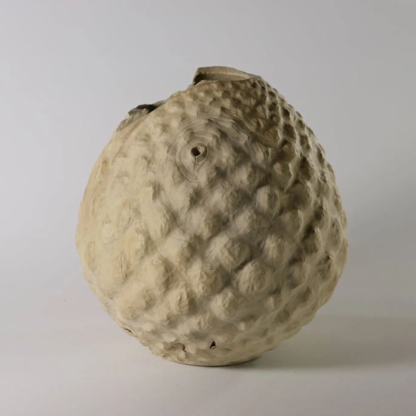 Vaso scultoreo in legno di Sambuco Sambucus Nigra
