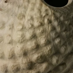 Vaso scultoreo in legno di Sambuco Sambucus Nigra