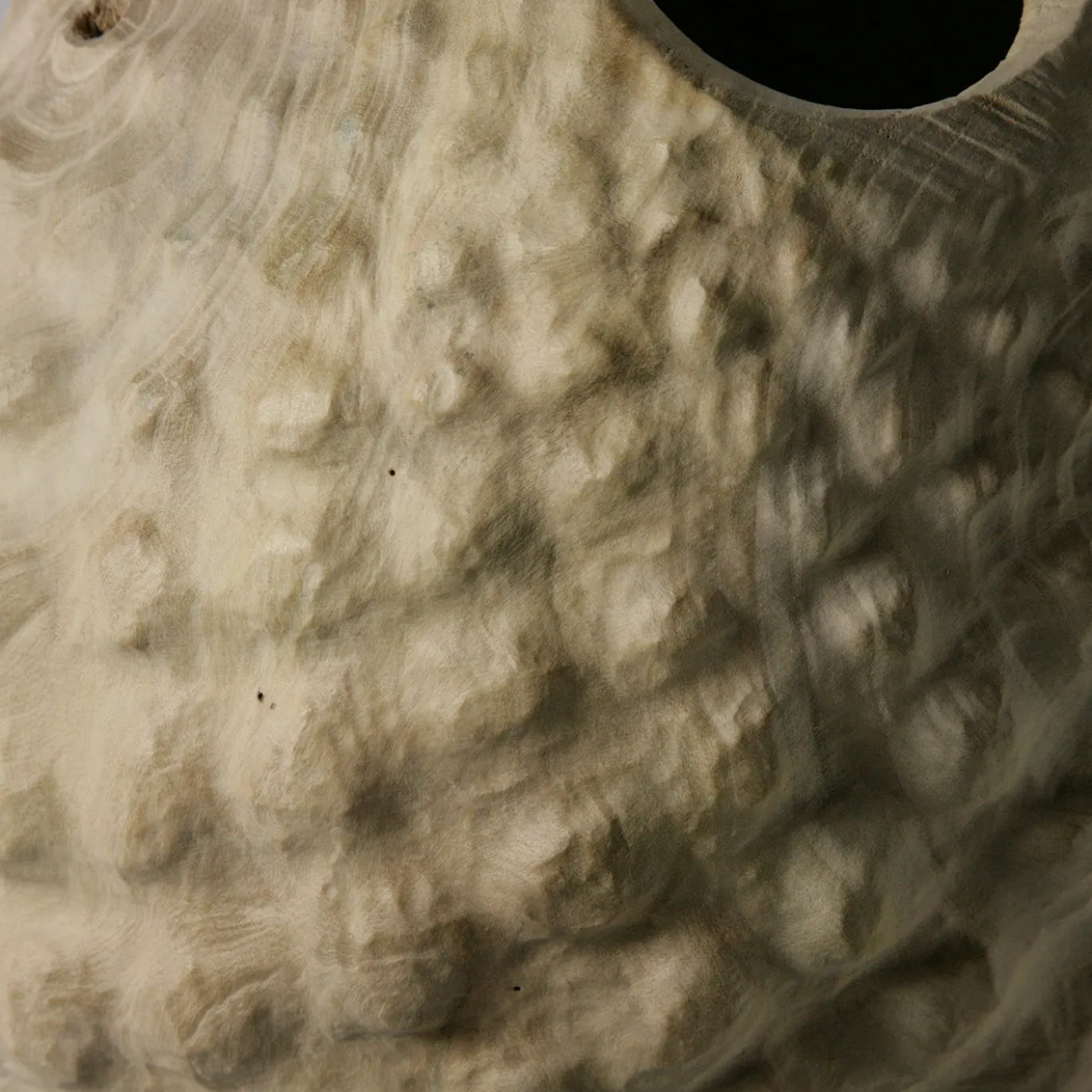 Vaso scultoreo in legno di Sambuco Sambucus Nigra