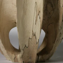 Vaso scultoreo Vase in Vase in legno di faggio Fagus Sylvatica