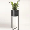 Vitis Nexum Alto Nero Abatellis Cachepot