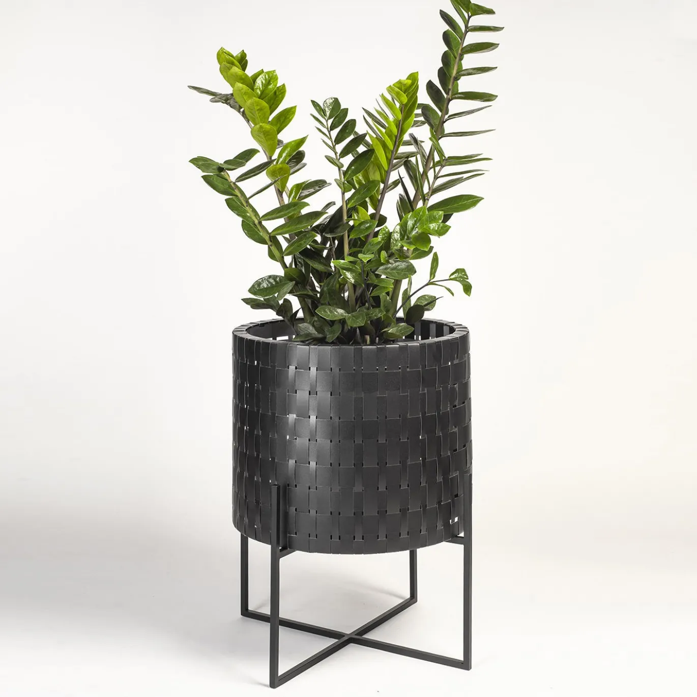 Vitis Nexum Piccolo Cachepot nero Abatellis